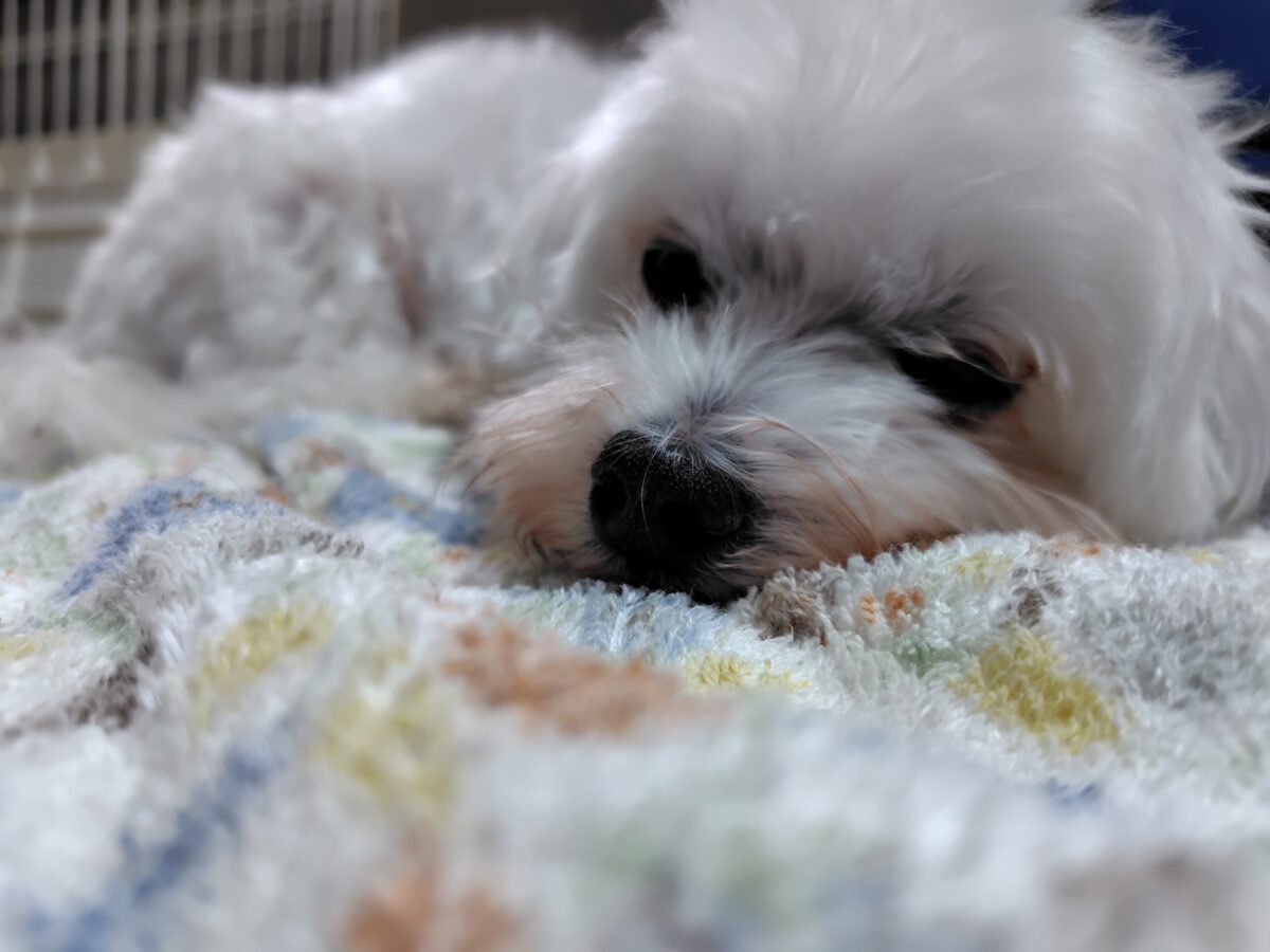 冬割プランの販売・予約受付について