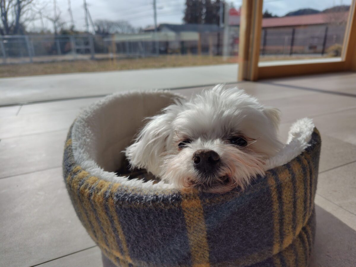 宿泊プラン名リニューアルのお知らせ